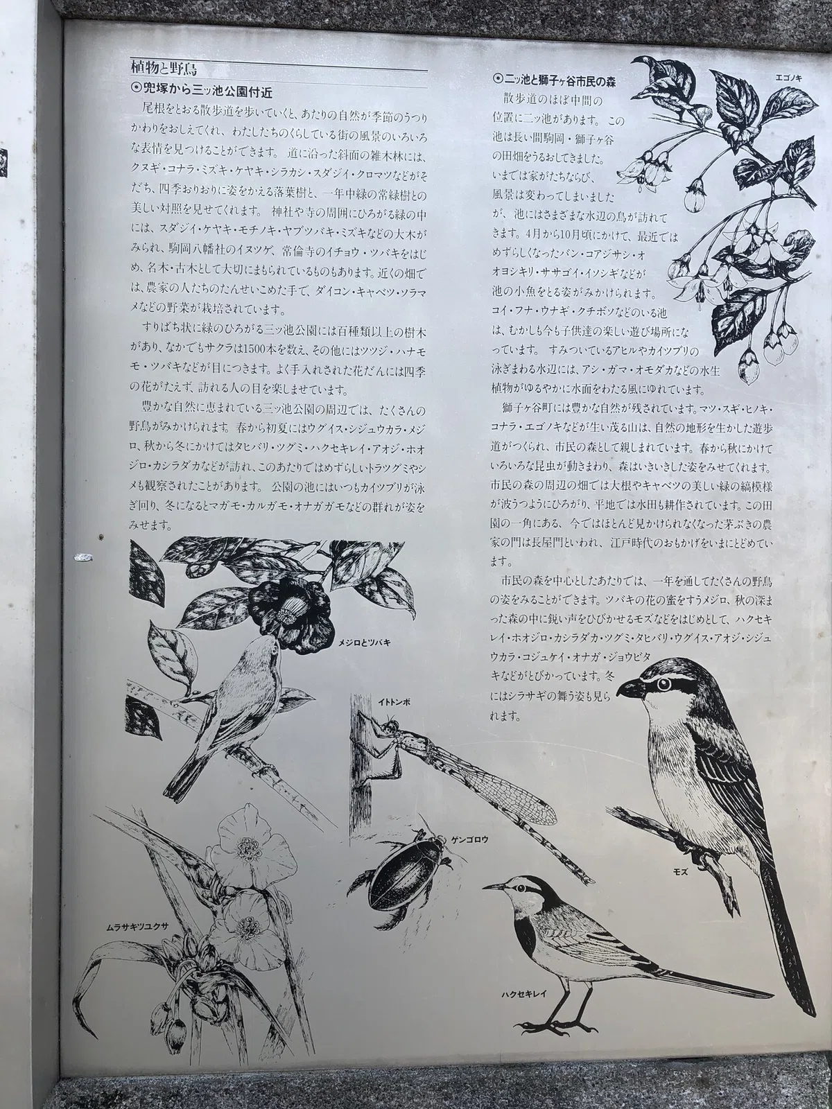 画像24