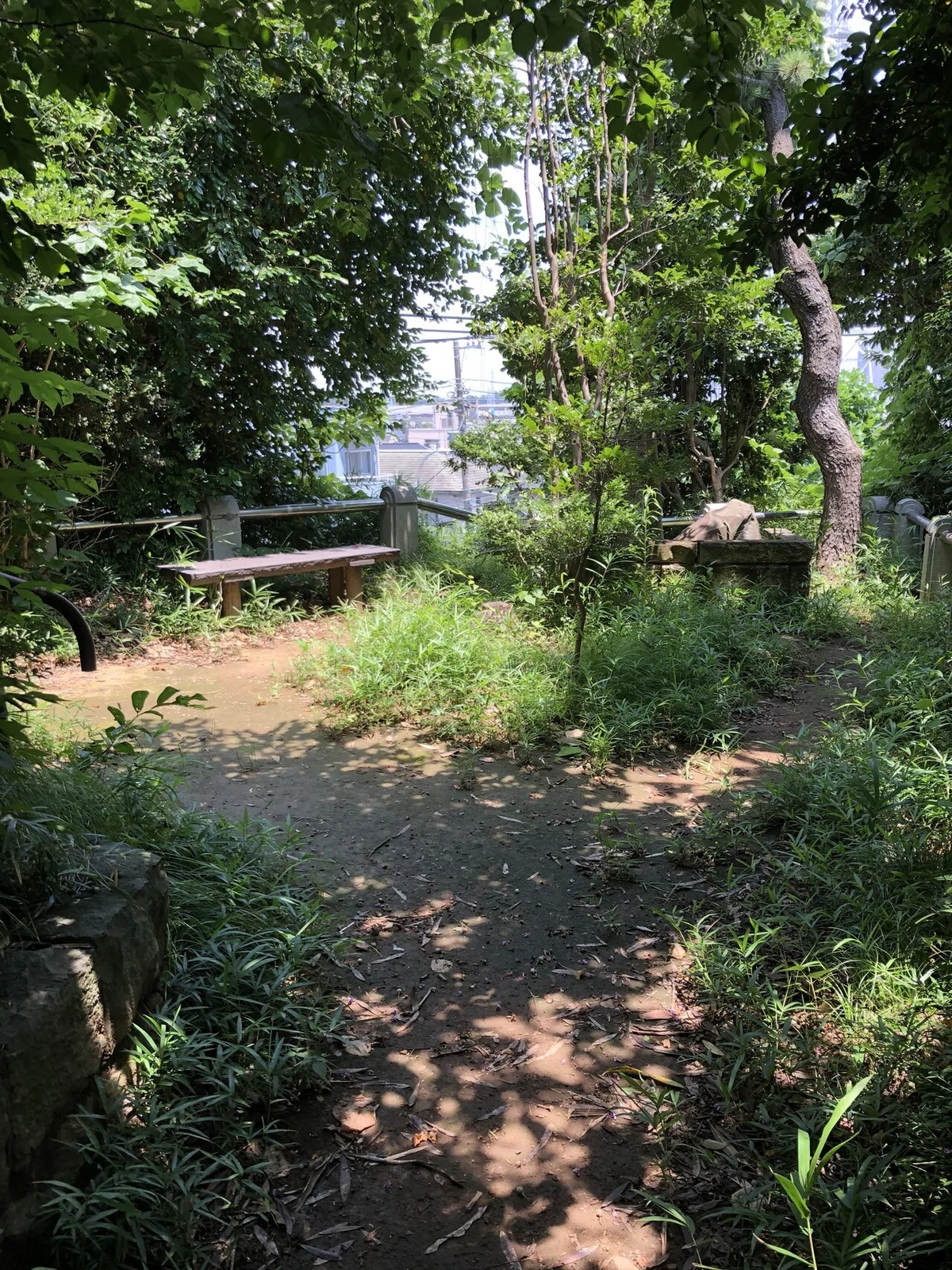 画像26