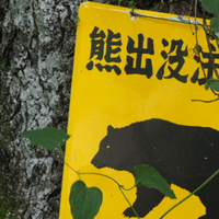 Vtuber初めて5か月経ったなあ ミラナ ラヴィーナ 映画好きvtuber Note