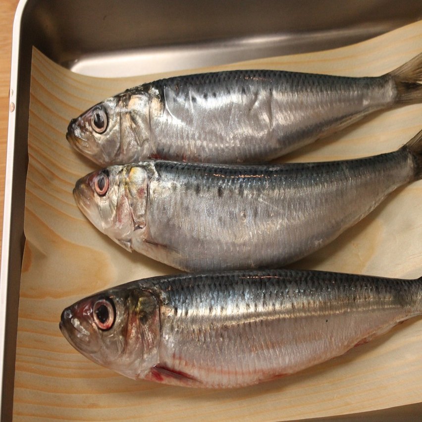 サルバドール ダリの いわしのグリル 樋口直哉 Travelingfoodlab Note