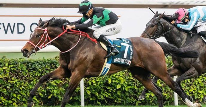 パーフェクトマッチの の新着タグ記事一覧 Note つくる つながる とどける