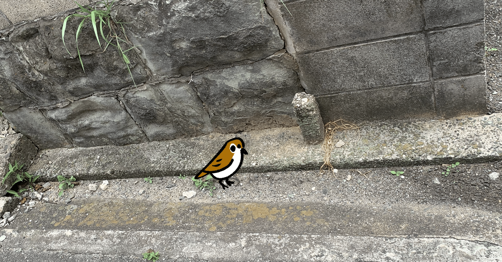 スズメはかわいい おほしんたろう Note