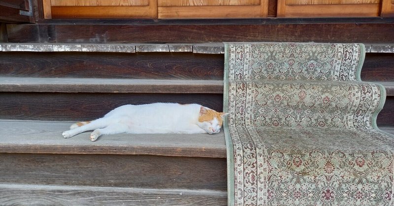 あわてずのんびり朗報を待ってみる🐱【おうし座♉オンリー占い】7月14日(水)