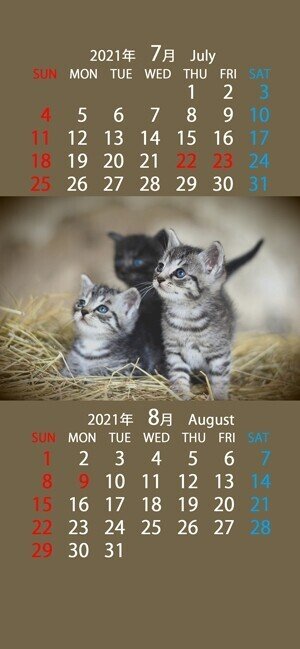 かわいい猫のスマホ用カレンダー壁紙 21年7月 8月 6種類 4タイプ まなびっと Note