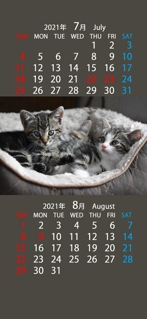 かわいい猫のスマホ用カレンダー壁紙 21年7月 8月 6種類 4タイプ まなびっと Note