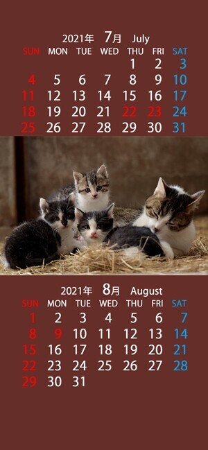 かわいい猫のスマホ用カレンダー壁紙 21年7月 8月 6種類 4タイプ まなびっと Note かわいい猫のスマホ用カレンダー壁紙 21年7月 8月 6種類 4タイプ まなびっと Note