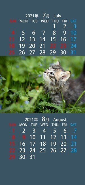 かわいい猫のスマホ用カレンダー壁紙 21年7月 8月 6種類 4タイプ まなびっと Note かわいい猫のスマホ用カレンダー壁紙 21年7月 8月 6種類 4タイプ まなびっと Note