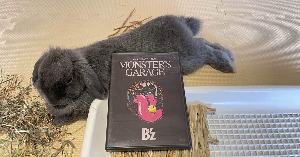 B'z LIVE-GYM 2006 MONSTER'S GARAGE（2006.8 京セラドーム大阪）の 