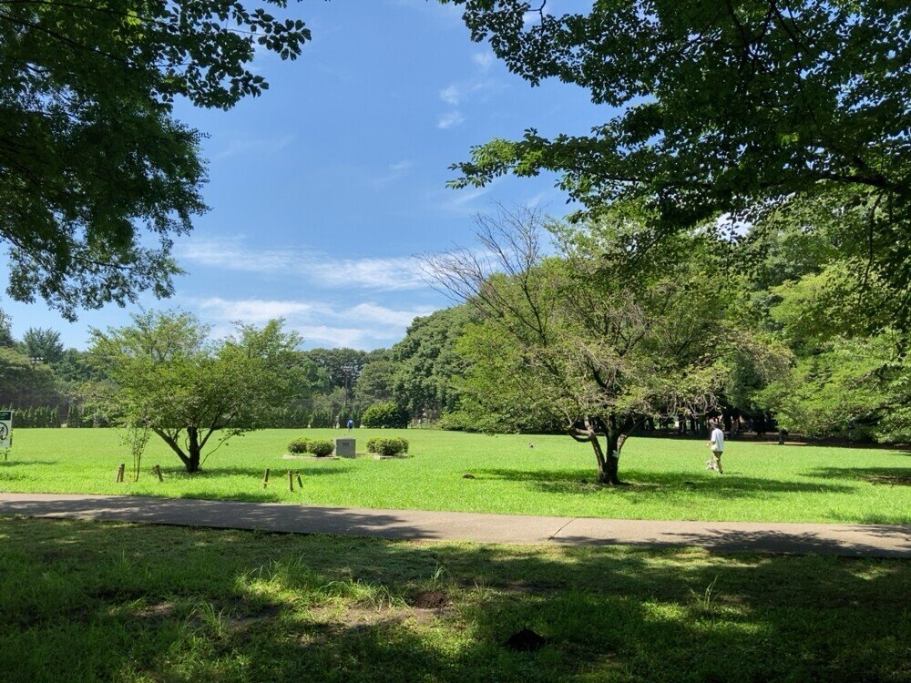 砧公園