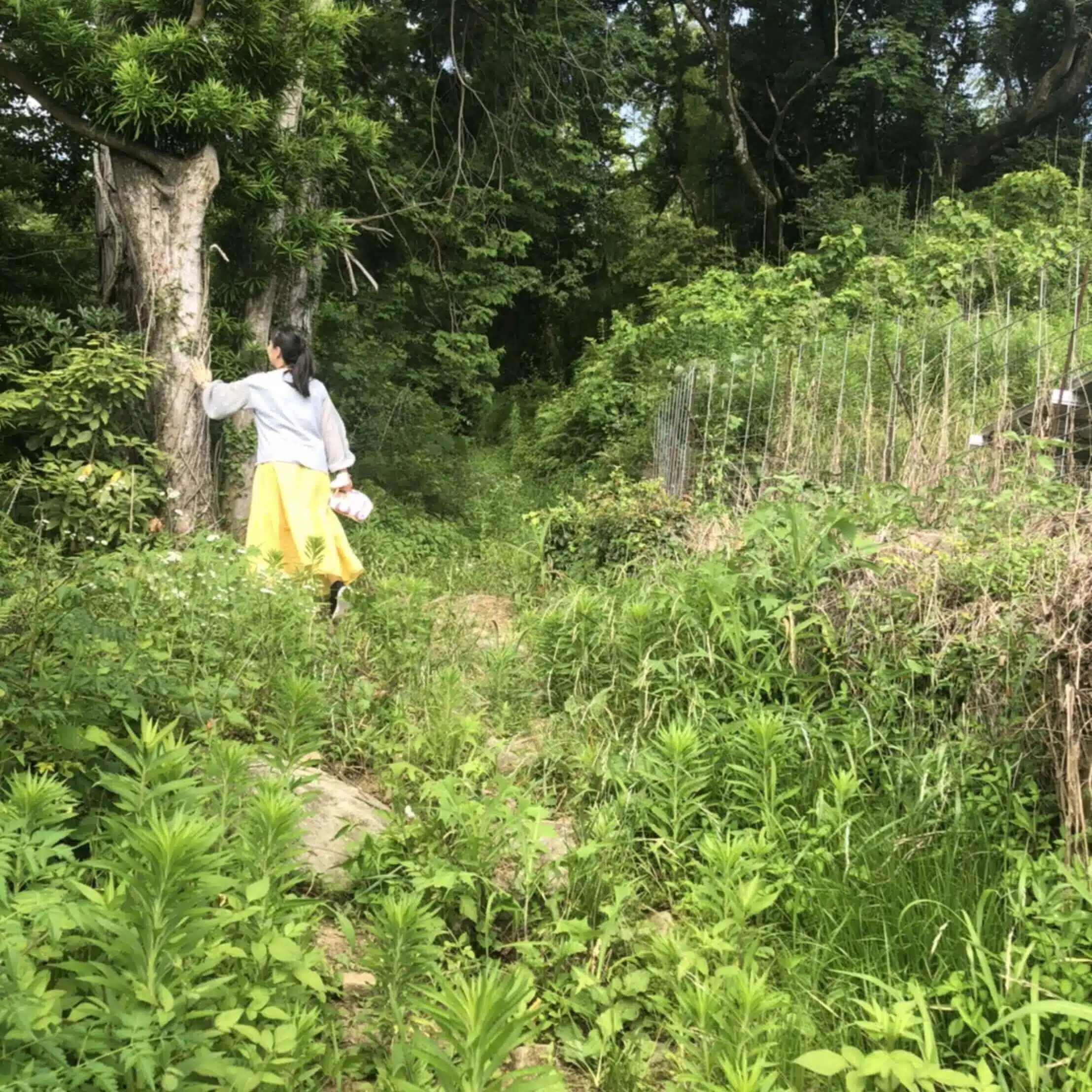 今秦  楽子