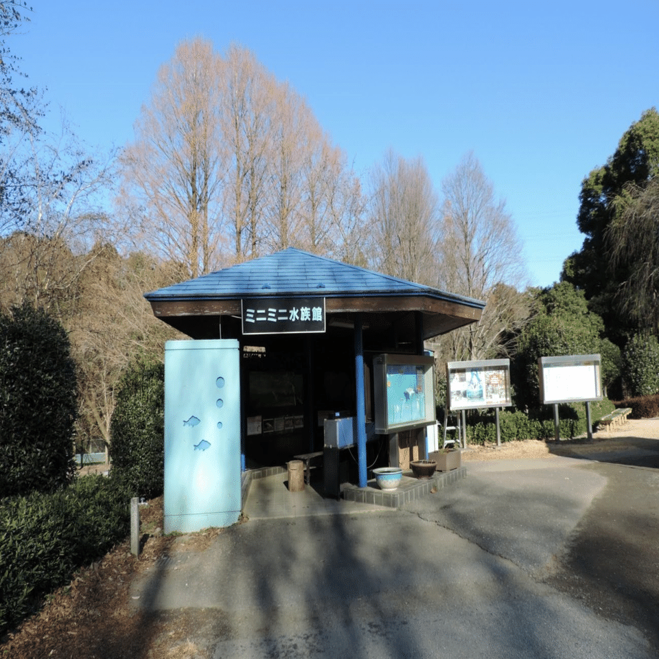 いきものがたり かめきちかめぞう『水族館巡り旅あれこれと小規模水族館のススメ』｜かめきちかめぞう, image size:1280x960