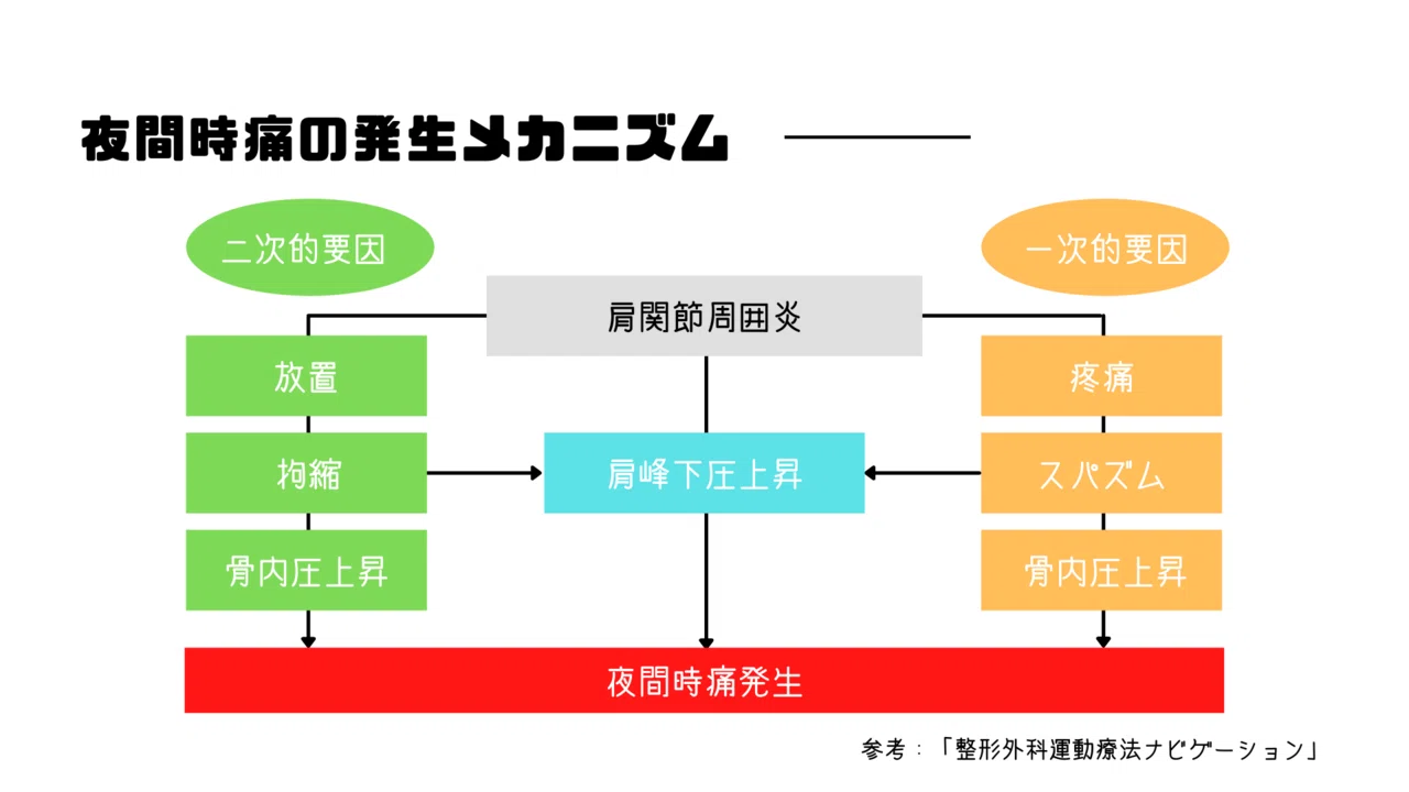 肩関節周囲炎の夜間時痛に対する理学療法|石橋てっぺい⚽️理学療法士 肩関節周囲炎の夜間時痛に対する理学療法|石橋てっぺい⚽️理学療法士