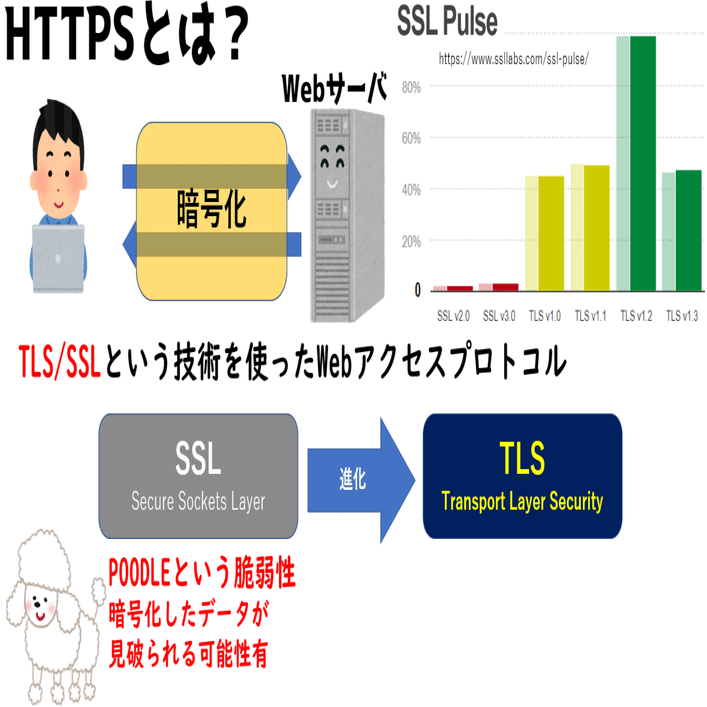 サーバ証明書・TLS/SSL通信・HTTPS暗号アルゴリズム  実践解説【高校情報１・情報セキュリティ】｜高校情報科・情報処理技術者試験対策の突破口ドットコム