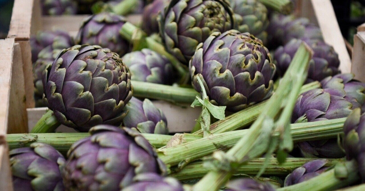 アーティチョークとプロテア Hiroko Note