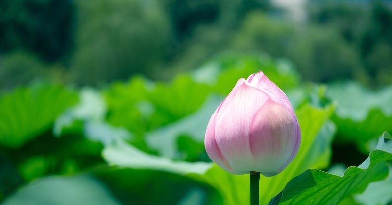 ドイツ語オンラインレッスン の新着タグ記事一覧 Note つくる つながる とどける