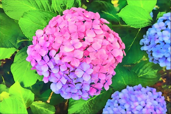 臨月 の人気タグ記事一覧 Note つくる つながる とどける