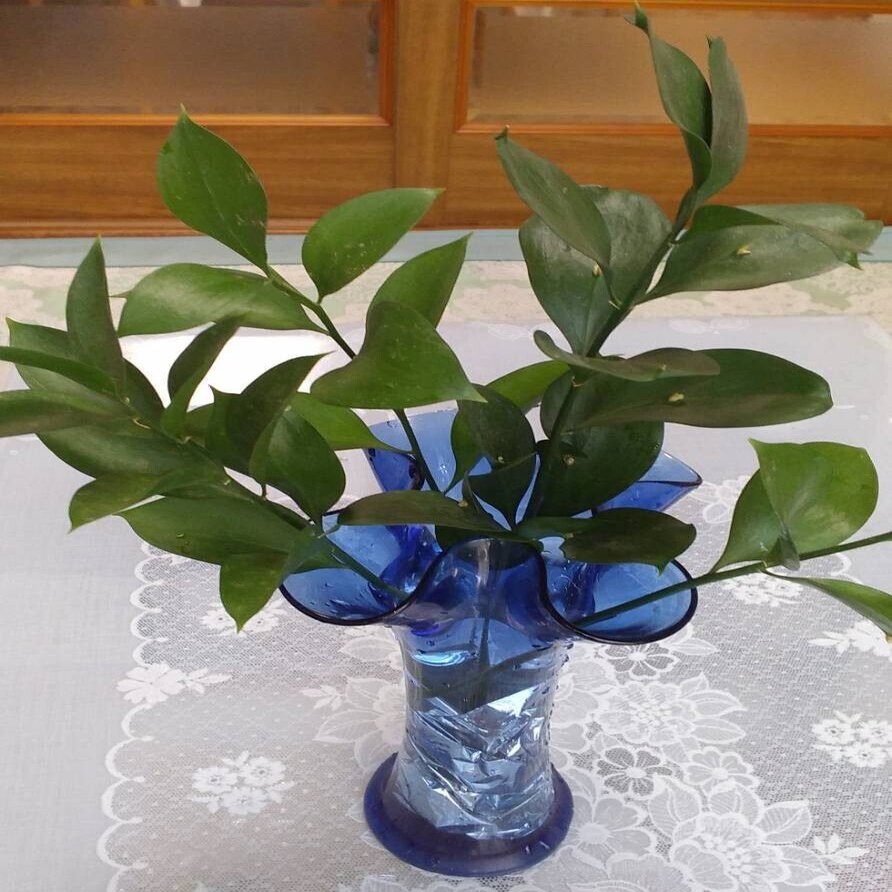 葉っぱから花 お花屋さんのサプライズ Pictoria Note