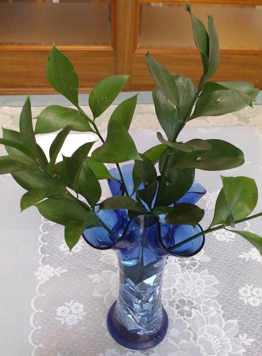 葉っぱから花 お花屋さんのサプライズ Pictoria Note 葉っぱから花 お花屋さんのサプライズ Pictoria Note