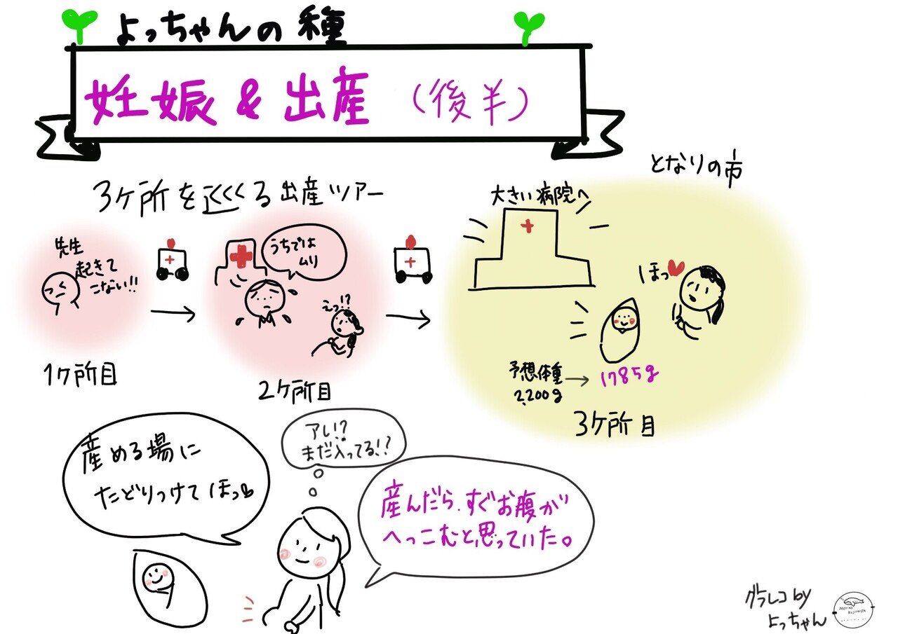 よっちゃんの種のお話 森のくじら舎グラフィックレコーダー よっちゃん Note よっちゃんの種のお話 森のくじら舎グラフィックレコーダー よっちゃん Note