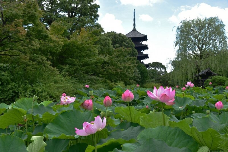 東寺3