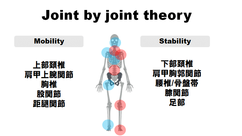 足部からみる！股関節｜佐藤 康