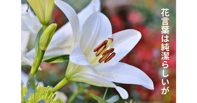天真爛漫な花たち リンピオユキトの宅配クリーニング Note
