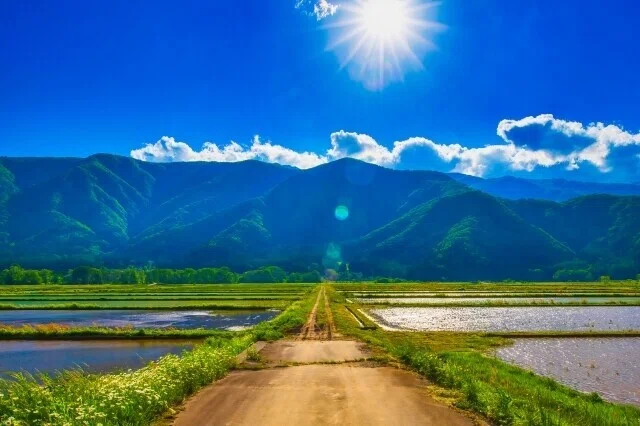 画像6
