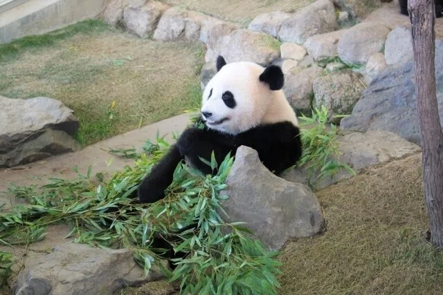 画像10