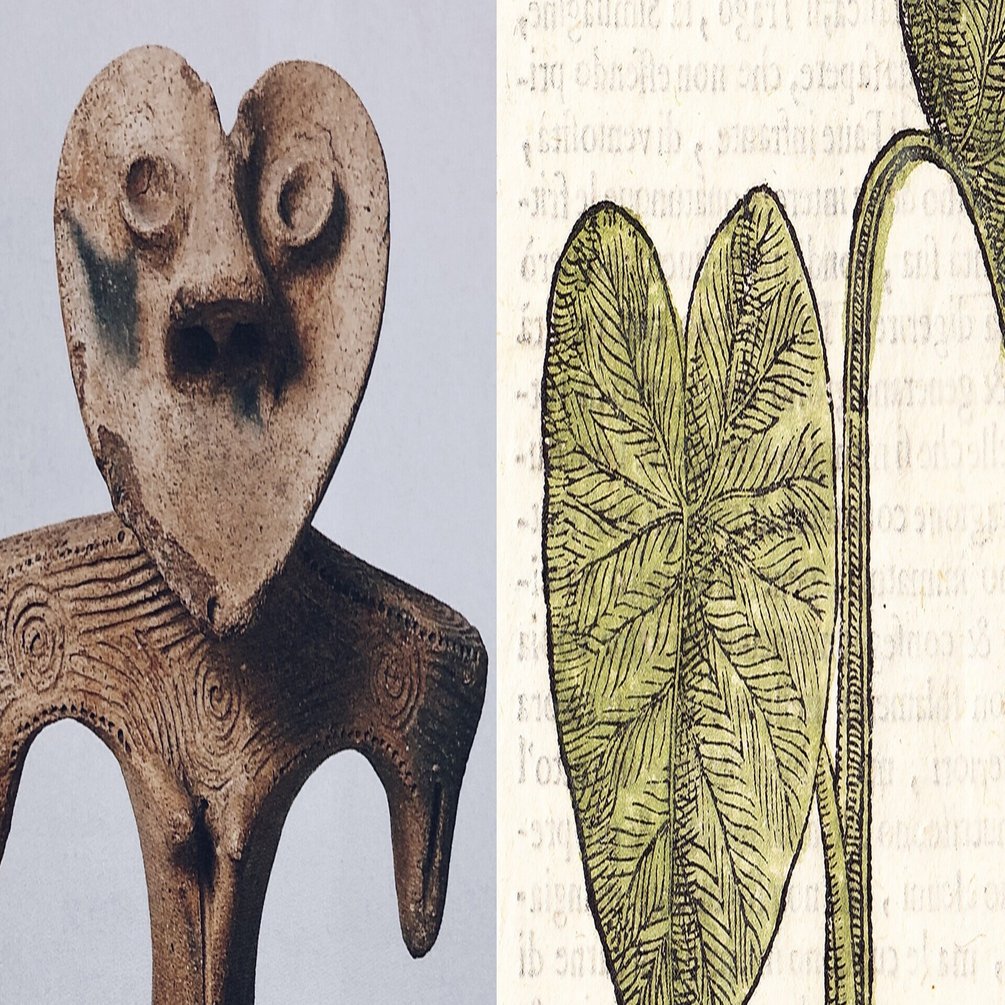 土偶を読む を読んだけど 番外編 ーー僕も土偶の謎を解いてみた 縄文zine Note Note