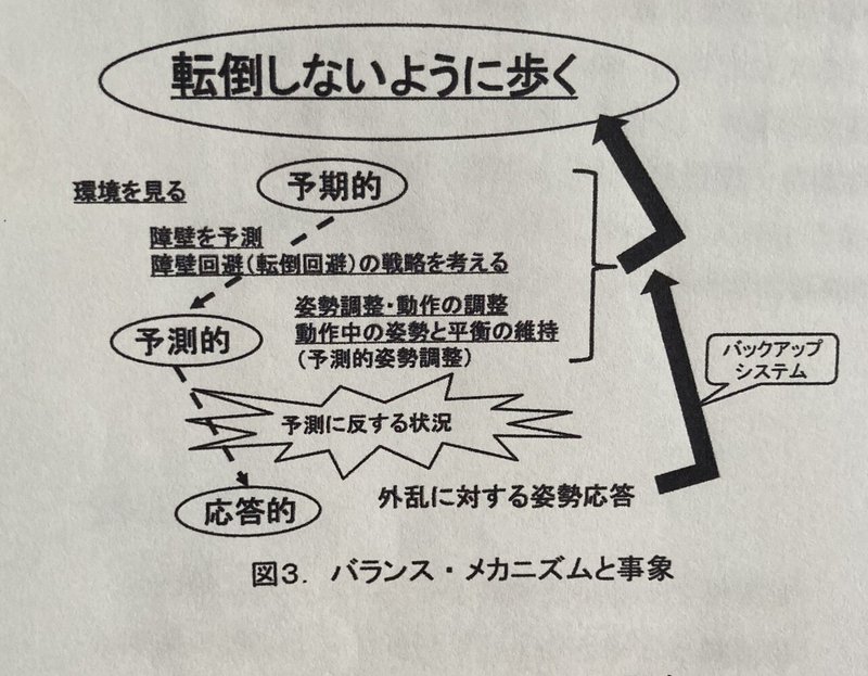 バランス機能の3つのメカニズム ジャガーさん Note