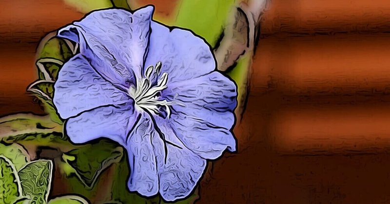 お花の育て方 の新着タグ記事一覧 Note つくる つながる とどける