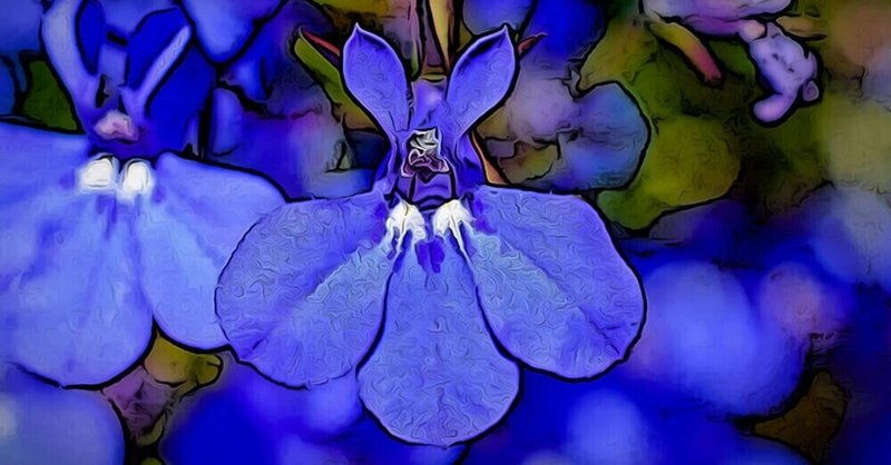 お花の育て方 の新着タグ記事一覧 Note つくる つながる とどける