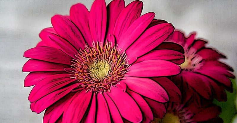 お花の育て方 の新着タグ記事一覧 Note つくる つながる とどける