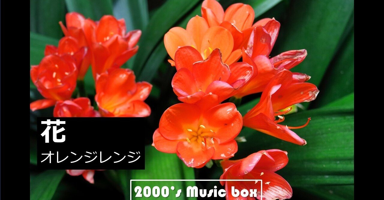 オレンジレンジ 花 をハモリました 懐メロ ゼロ年代ミュージックbox Note オレンジレンジ 花 をハモリました 懐メロ ゼロ年代ミュージックbox Note