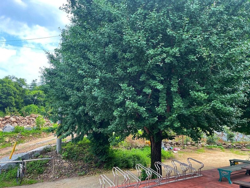 画像13
