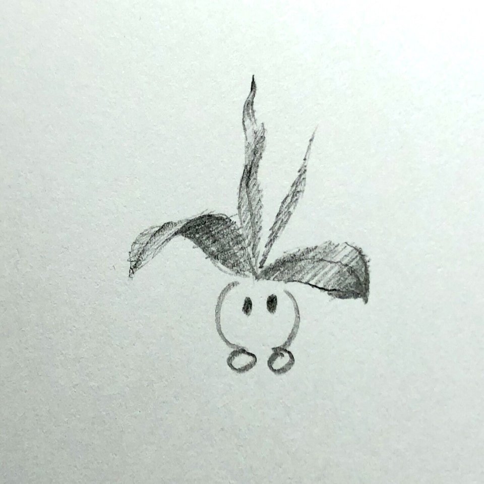 初心者 絵が下手でもできるデッサン 描き方のコツ 葉っぱ編 ふゆはる Fuyuharu イラストレーター クラファン目標達成 Note