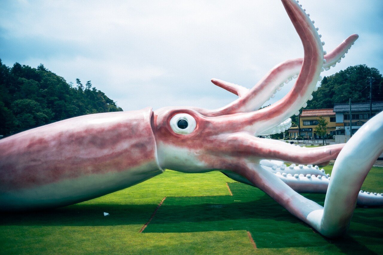 コロナ対策金により爆誕した13mの巨大イカを能登半島に追った話 Hirotographer Note コロナ対策金により爆誕した13mの巨大イカを能登半島に追った話 Hirotographer Note