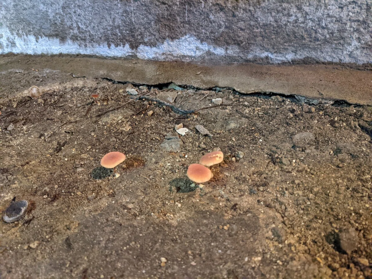 画像13