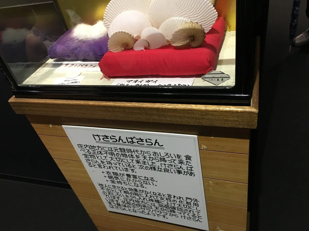 画像6
