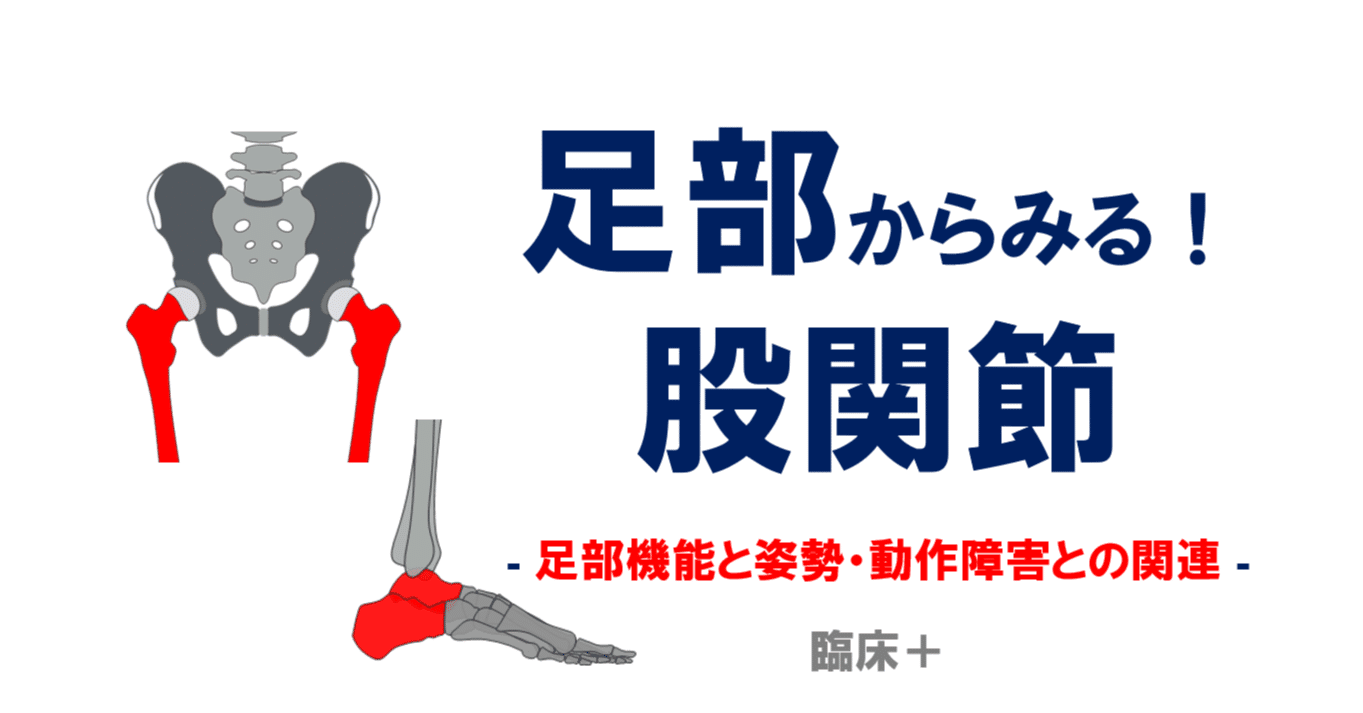 足部からみる！股関節｜佐藤 康
