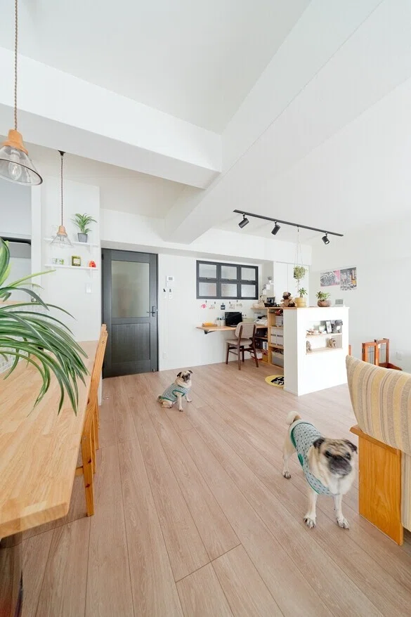 犬のための家づくり 人にも犬にもやさしい住まい Sunreform Note