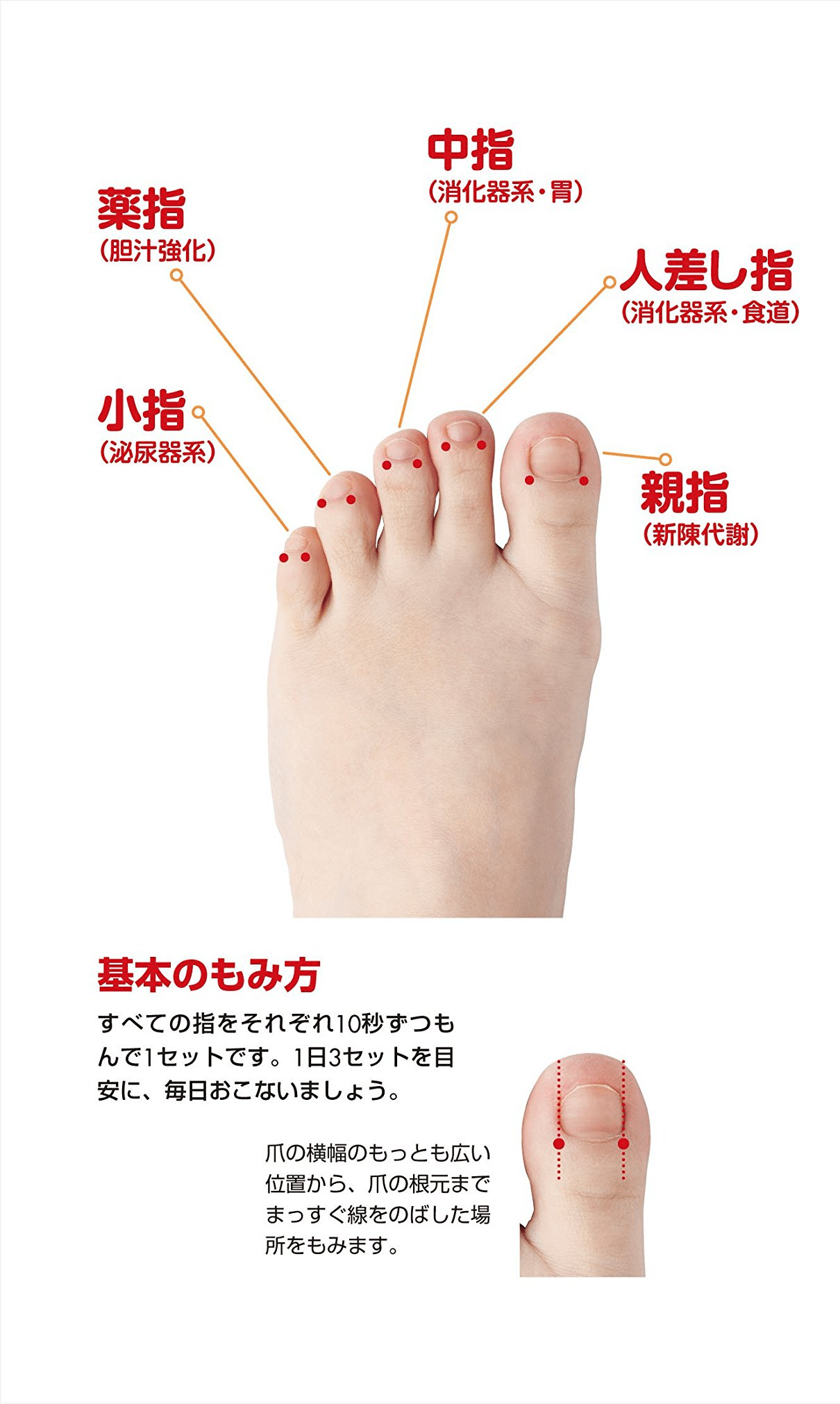 以上節約 送料込み 免疫力を高めよう 爪もみ療法 ツボマッサージ 冷え性に お得な爪もみ太郎s Mセット Www Thewalldogs Com 以上節約 送料込み 免疫力を高めよう 爪もみ療法 ツボマッサージ 冷え性に お得な爪もみ太郎s Mセット Www Thewalldogs Com