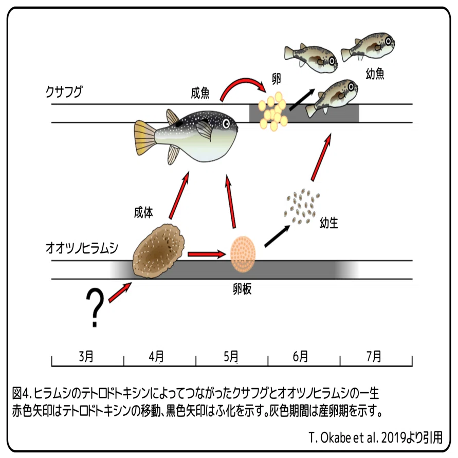 活動歴および当時の関連ビジュアル記録