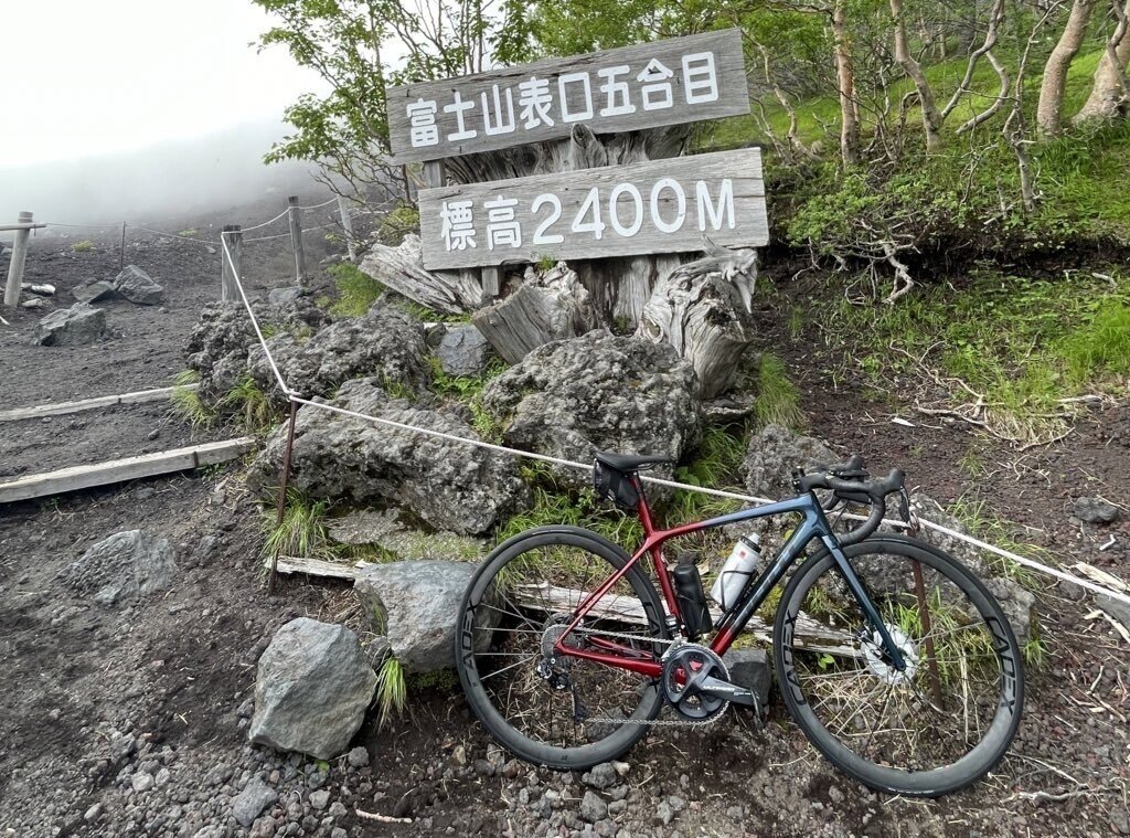 富士山と桜　3号 富士山と桜 3号