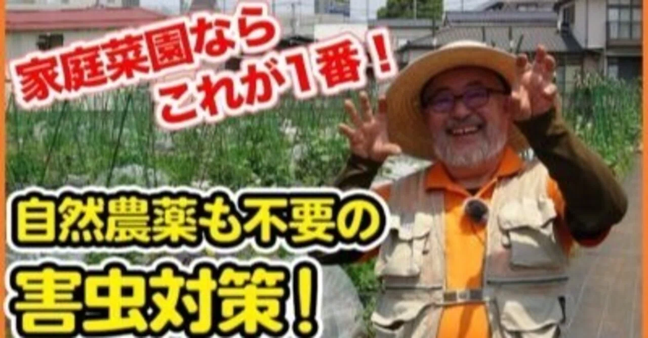 害虫駆除の基本】農薬を使わない家庭菜園での害虫対策方法｜井上寅雄