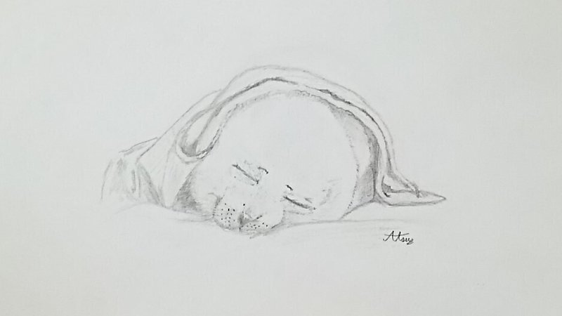 あの子に夢中 篤 あつ Note