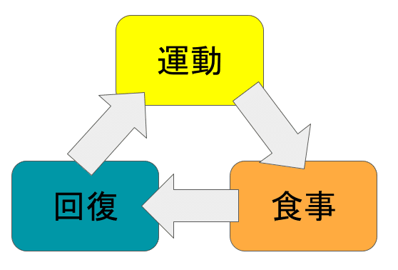 トレーニング図&amp;amp;amp;nbsp;(1)