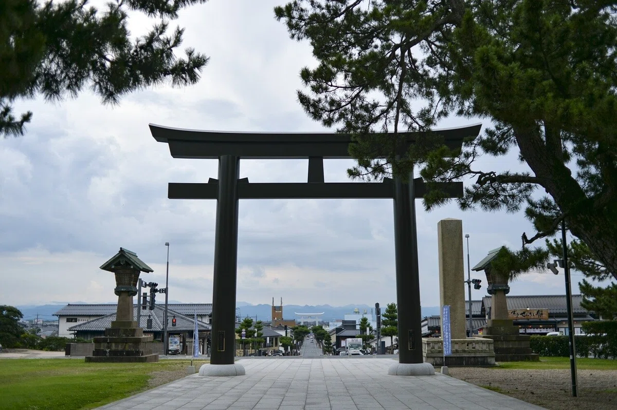 画像14