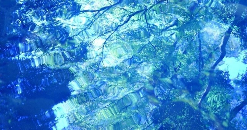 花言葉は永遠の幸福 の新着タグ記事一覧 Note つくる つながる とどける 花言葉は永遠の幸福 の新着タグ記事一覧 Note つくる つながる とどける