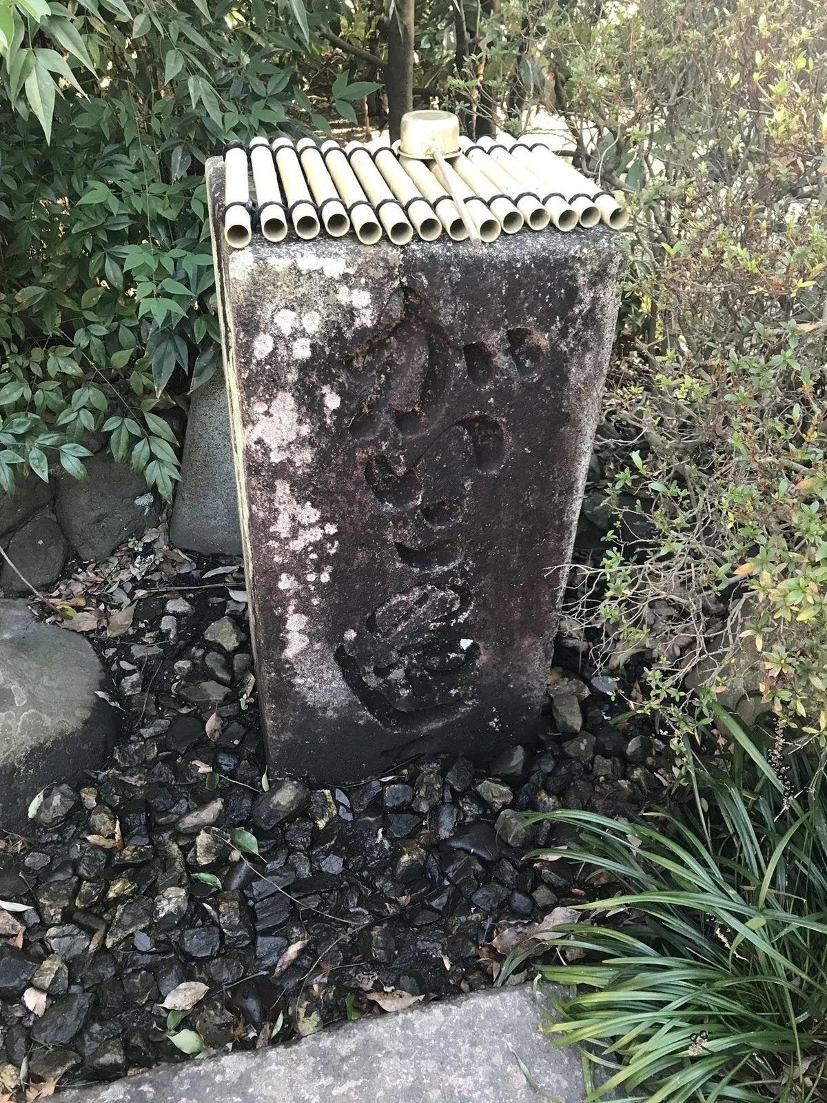 画像6